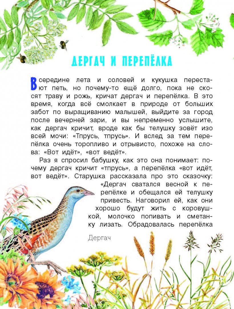 рассказы о природе пришвин с картинками так