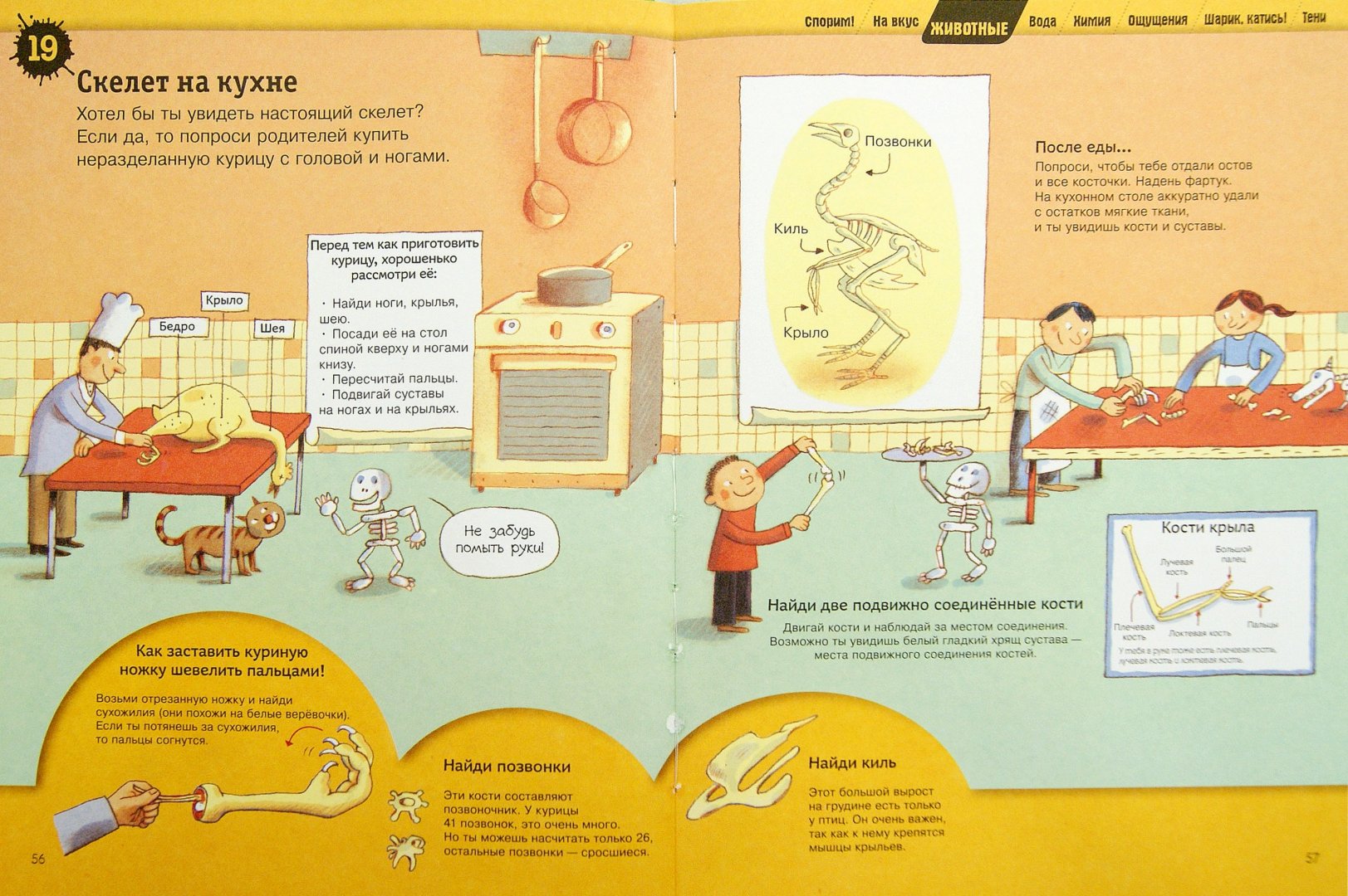 Иллюстрация 1 из 24 для Большая книга простых экспериментов для детей | Лабиринт - книги. Источник: Лабиринт