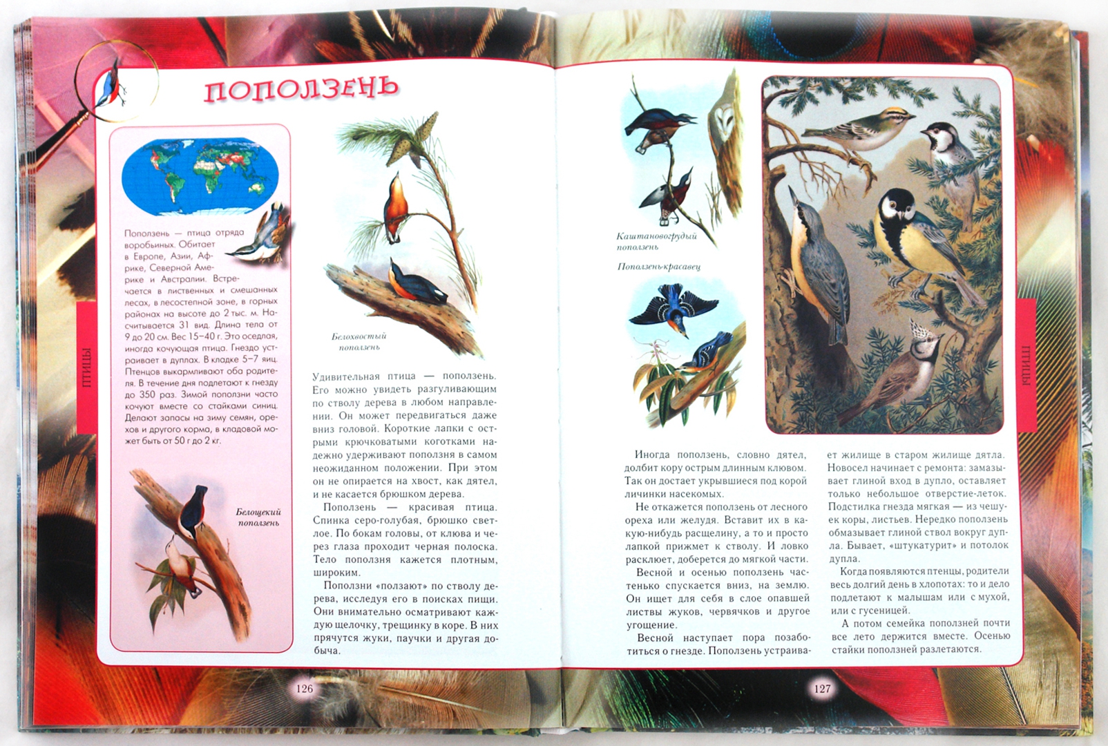 Иллюстрация 1 из 54 для Животный мир нашей планеты - Алексей Клиентов | Лабиринт - книги. Источник: Лабиринт