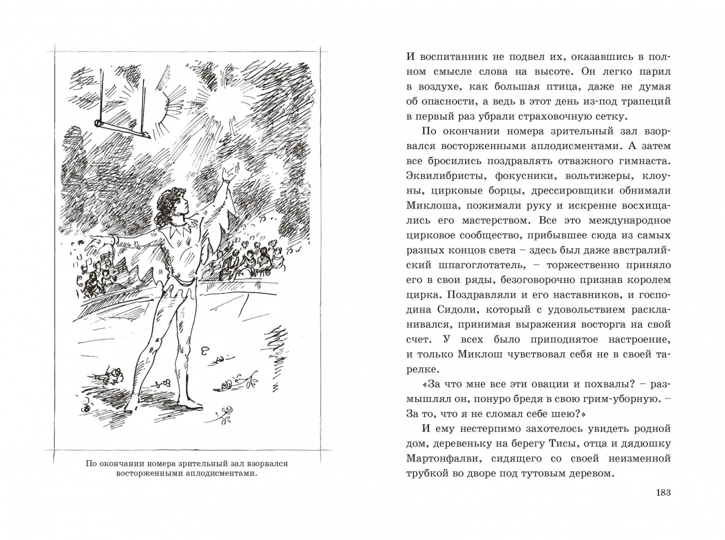 Иллюстрация 9 из 15 для Король цирка - Дьюла Круди | Лабиринт - книги. Источник: Лабиринт