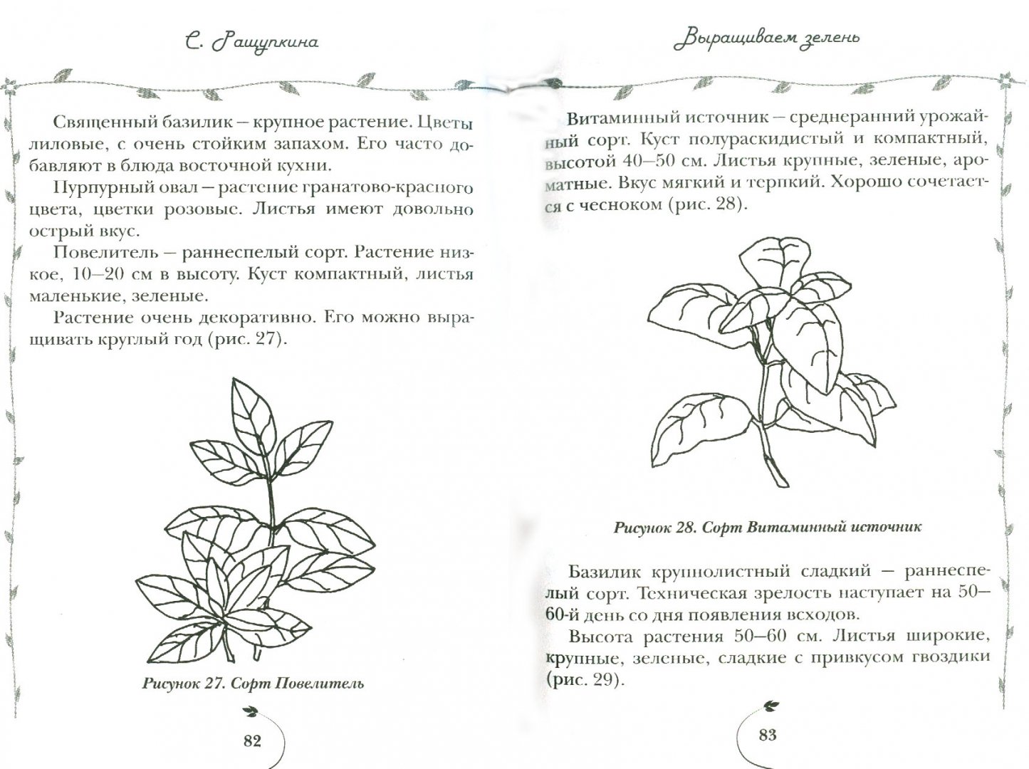 Иллюстрация 1 из 14 для Овощи и зелень. Огород на моем подоконнике - Светлана Ращупкина | Лабиринт - книги. Источник: Лабиринт
