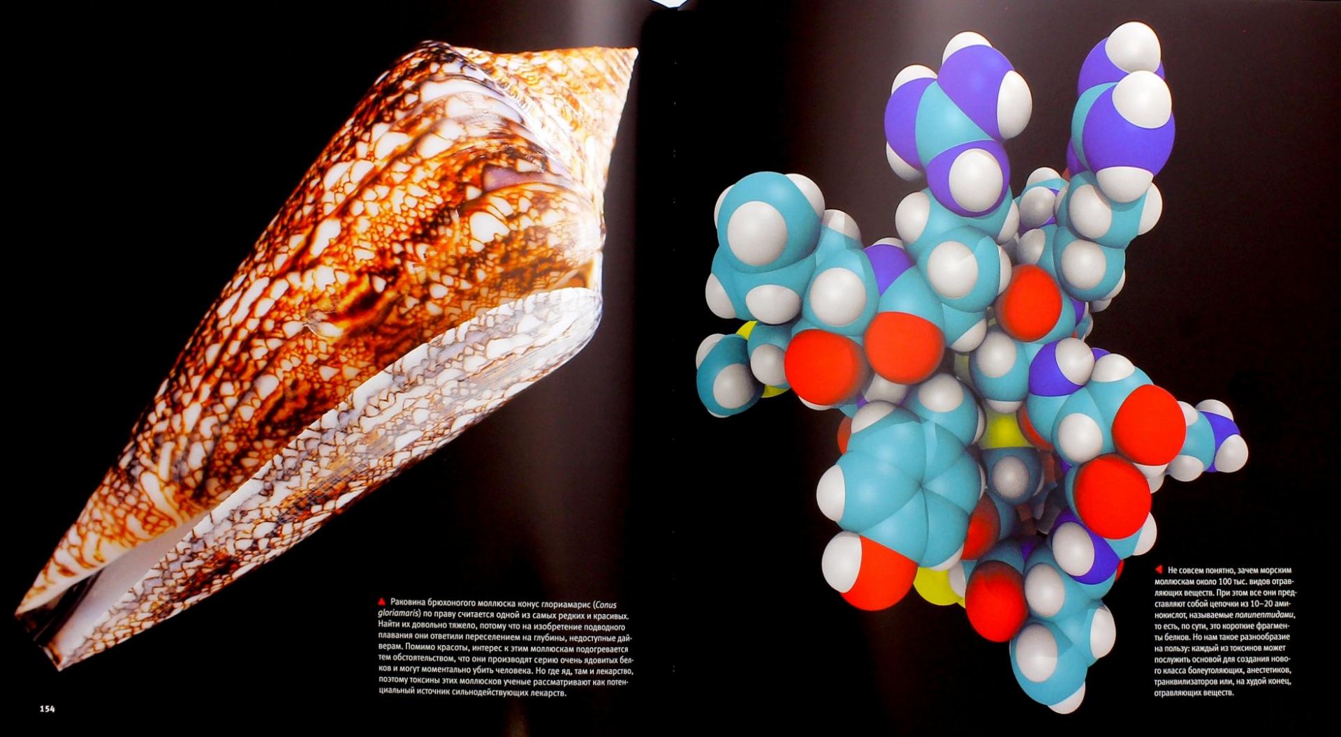 Иллюстрация 1 из 33 для Молекулы. Строительный материал природы - Теодор Грэй | Лабиринт - книги. Источник: Лабиринт