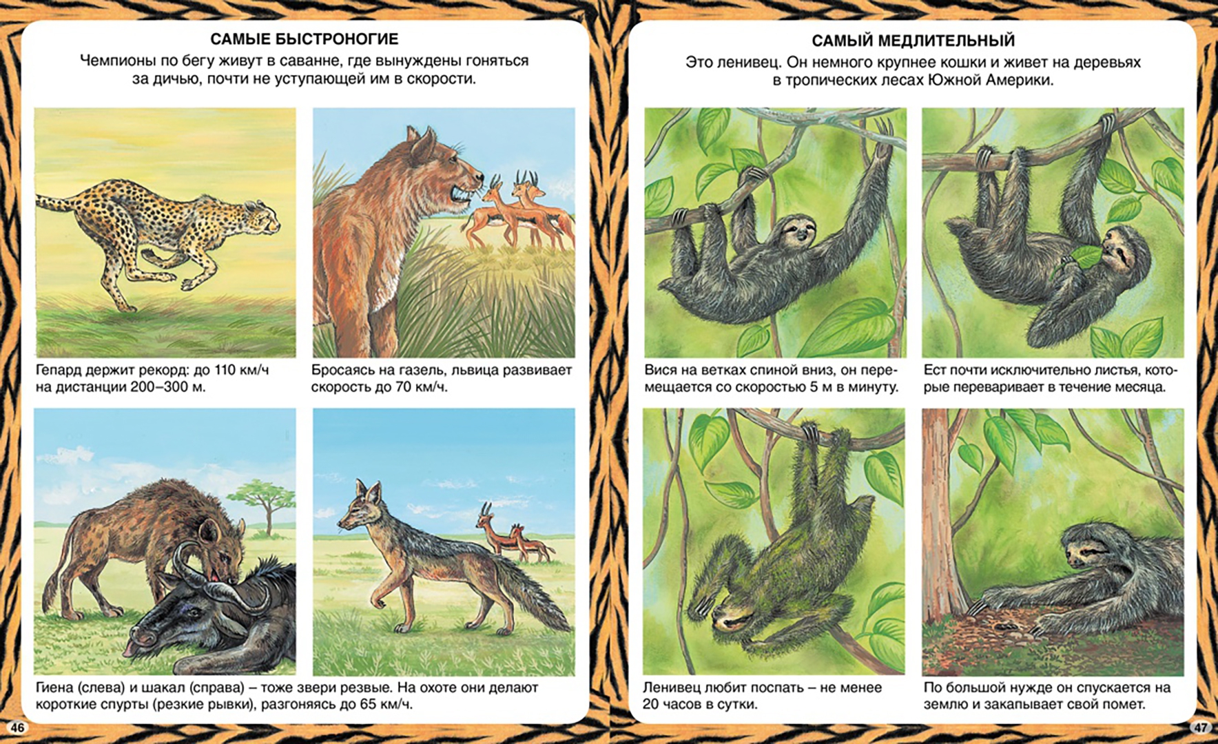 Иллюстрация 4 из 42 для Животные-рекордсмены - Эмили Бомон | Лабиринт - книги. Источник: Лабиринт