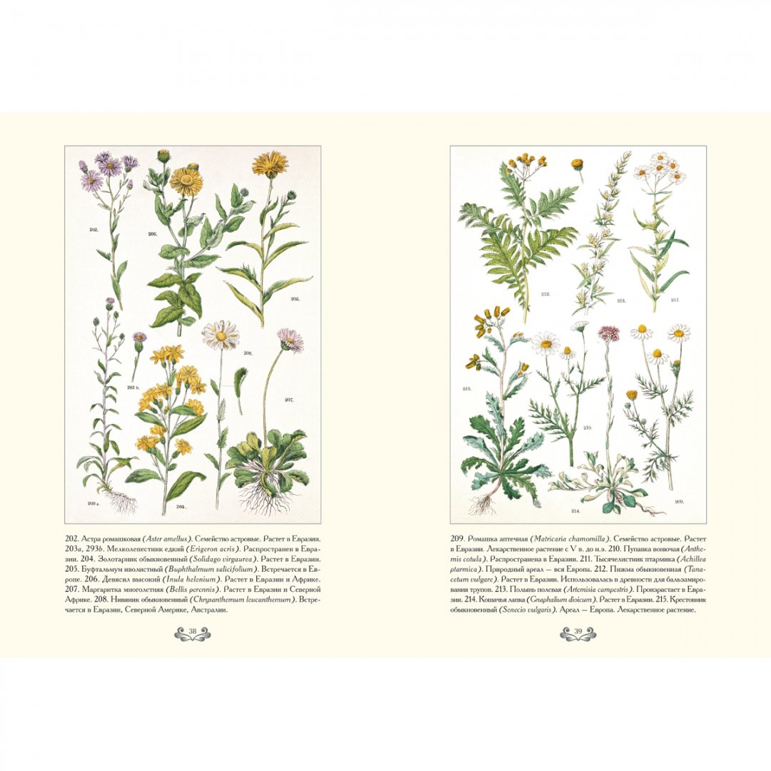 Иллюстрация 8 из 12 для Ботанический атлас. Карл фон Гофман - Готман фон | Лабиринт - книги. Источник: Лабиринт