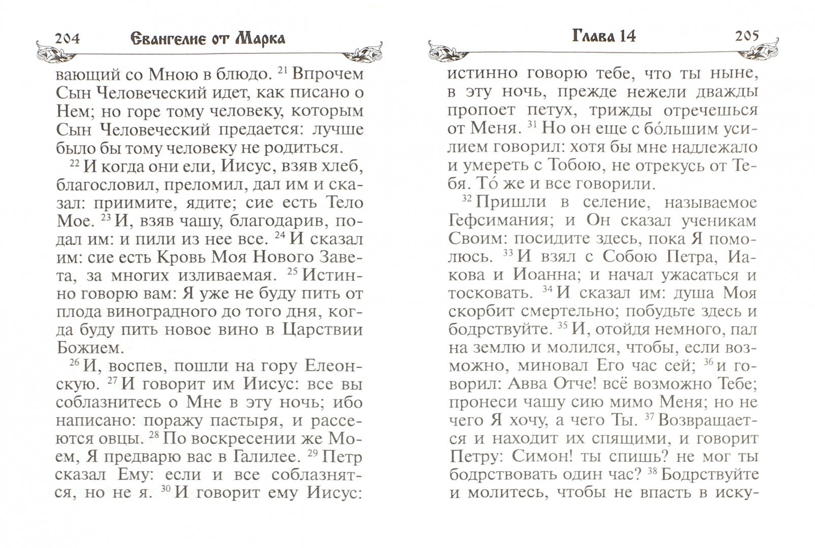 Иллюстрация 1 из 13 для Святое Евангелие на русском языке | Лабиринт - книги. Источник: Лабиринт