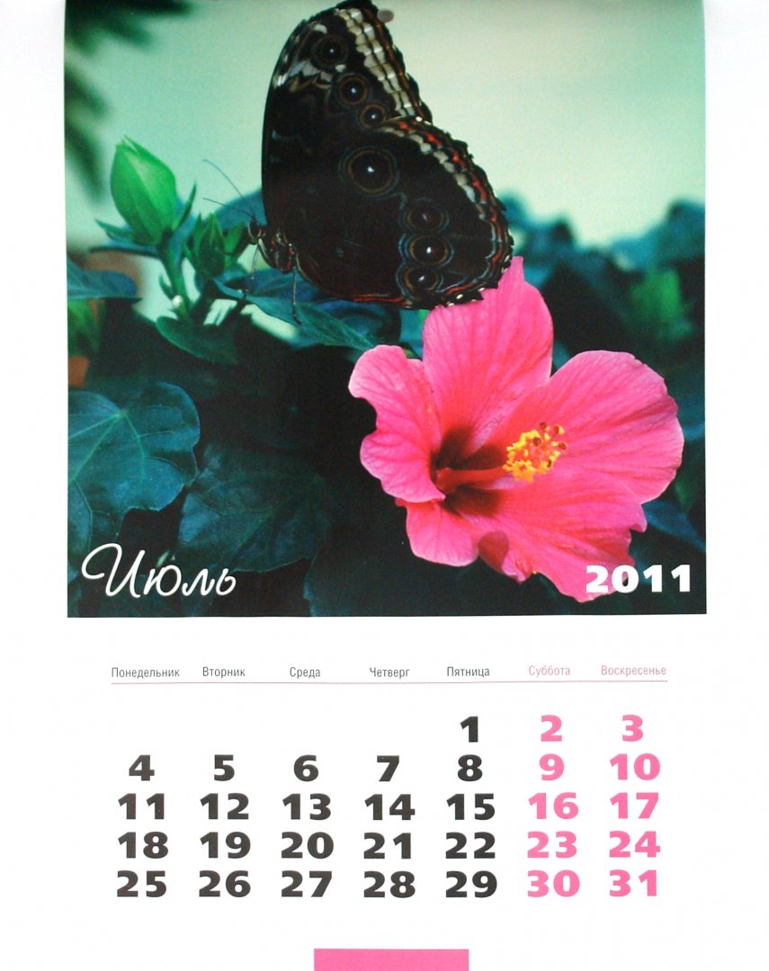 Иллюстрация 1 из 7 для Календарь 2011. "Палитра цветов" | Лабиринт - сувениры. Источник: Лабиринт