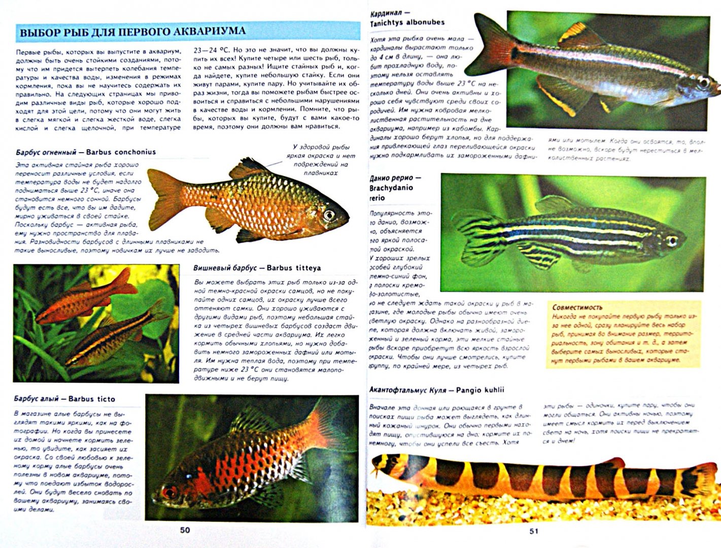 Аквариумные рыбы каталог