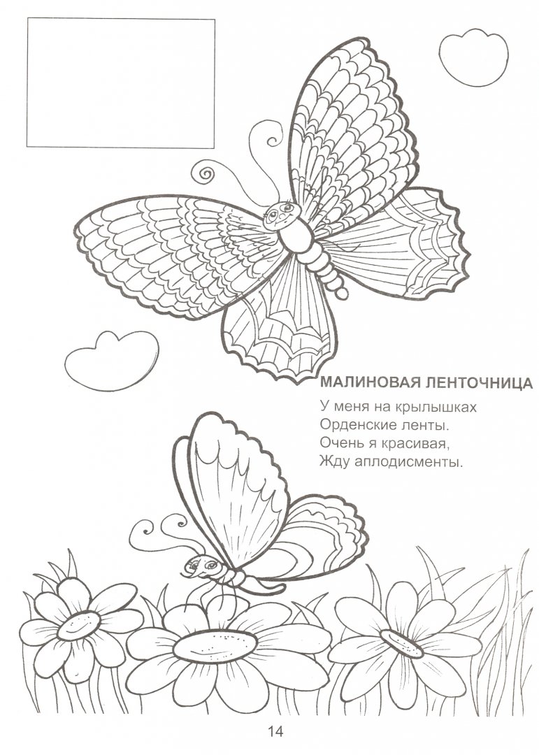 Иллюстрация 1 из 7 для В мире цветов и бабочек - Татьяна Коваль | Лабиринт - книги. Источник: Лабиринт