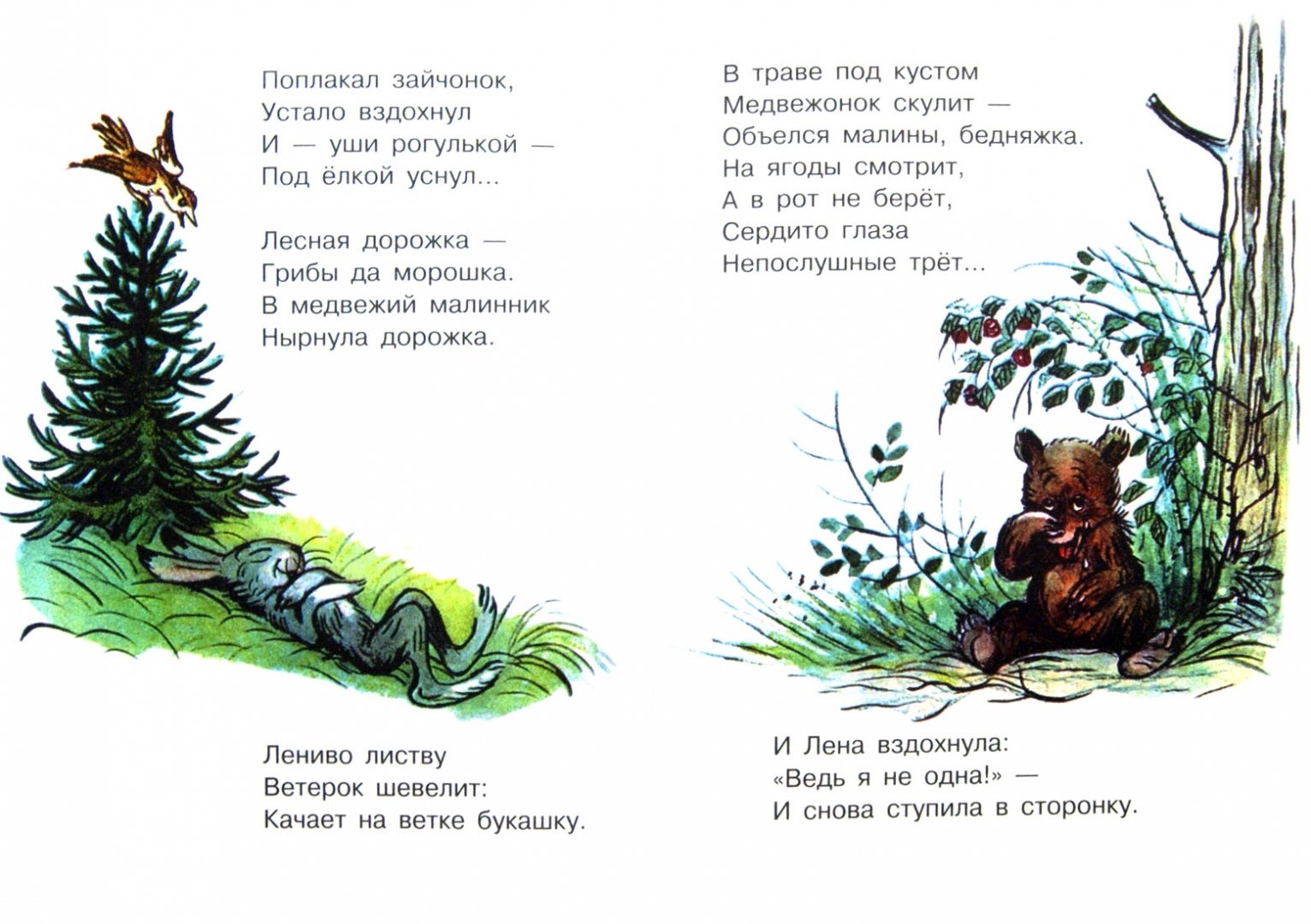 Иллюстрация 1 из 33 для Стихи в картинках В. Сутеева | Лабиринт - книги. Источник: Лабиринт