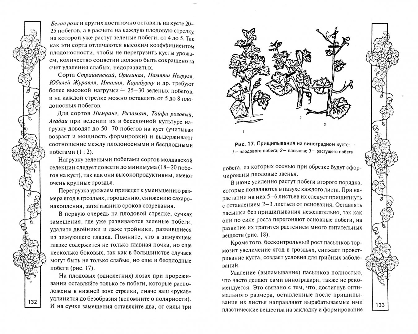 Иллюстрация 1 из 22 для Секреты виноградной лозы - Валентина Бурова | Лабиринт - книги. Источник: Лабиринт