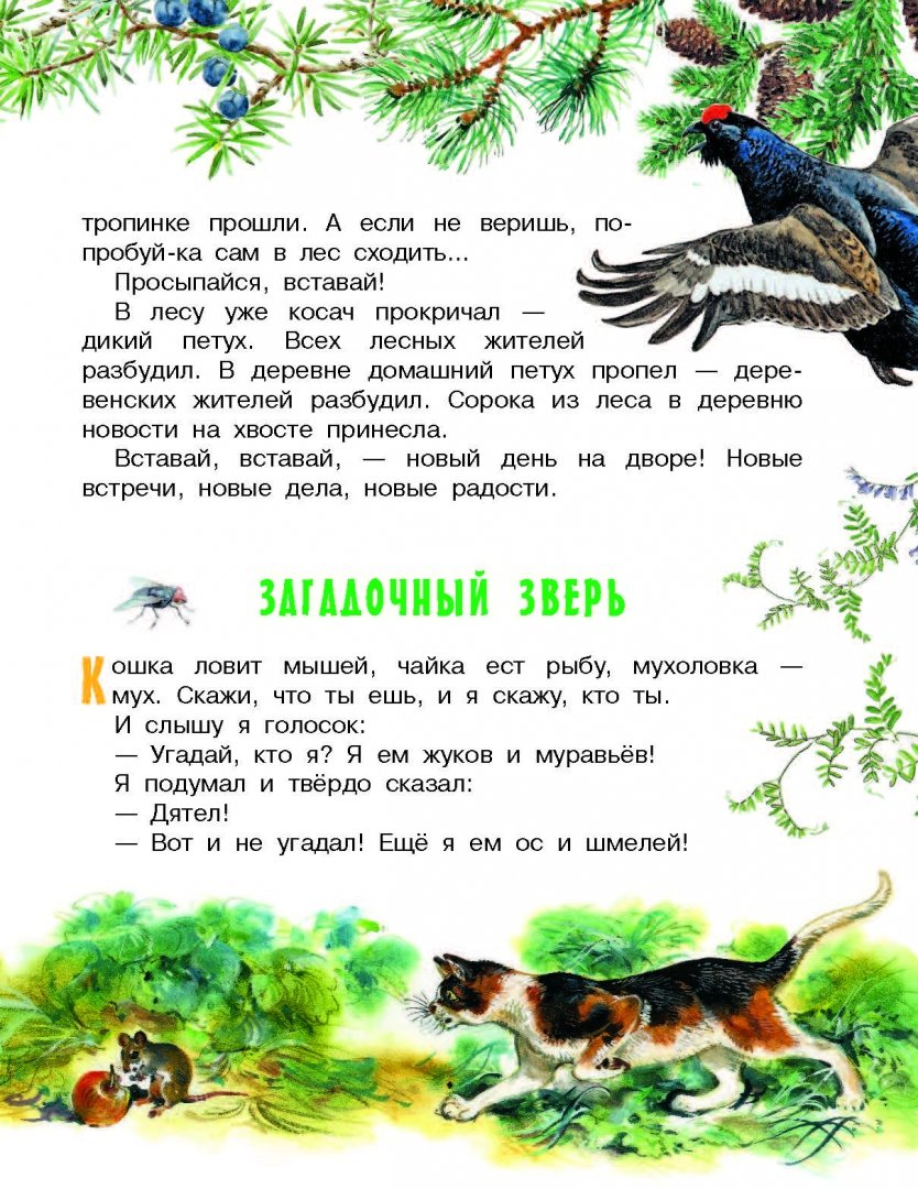Иллюстрация 5 из 48 для Рассказы и сказки о животных - Житков, Сладков, Сахарнов | Лабиринт - книги. Источник: Лабиринт