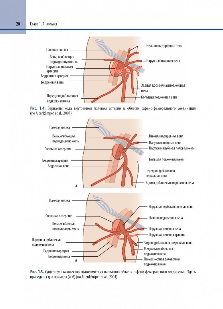 Иллюстрация 6 из 12 для Минимально инвазивное лечение варикозного расширения вен - Алм, Брой, Мауринс | Лабиринт - книги. Источник: Лабиринт