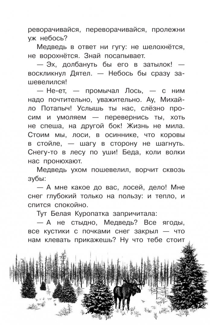 Иллюстрация 7 из 24 для Лесные тайнички - Николай Сладков | Лабиринт - книги. Источник: Лабиринт