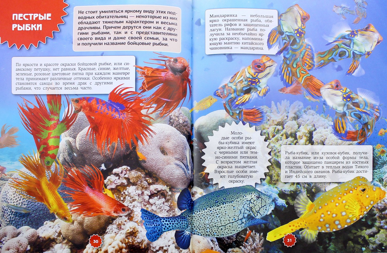 Иллюстрация 2 из 21 для Подводный мир - Ликсо, Третьякова | Лабиринт - книги. Источник: Лабиринт