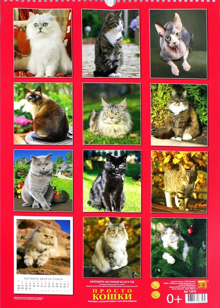 Иллюстрация 1 из 2 для Календарь 2019 "Просто кошки" (12910) | Лабиринт - сувениры. Источник: Лабиринт