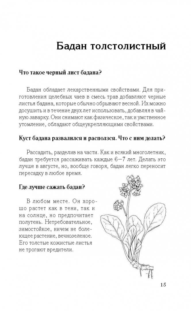 Иллюстрация 14 из 24 для Все ответы на вопросы о цветах и других садовых декоративных растениях - Галина Кизима | Лабиринт - книги. Источник: Лабиринт