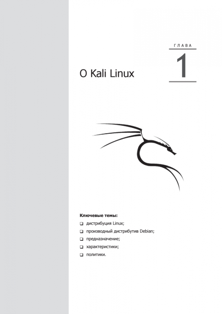 Иллюстрация 1 из 27 для Kali Linux от разработчиков - Херцог, О`Горман, Ахарони | Лабиринт - книги. Источник: Лабиринт