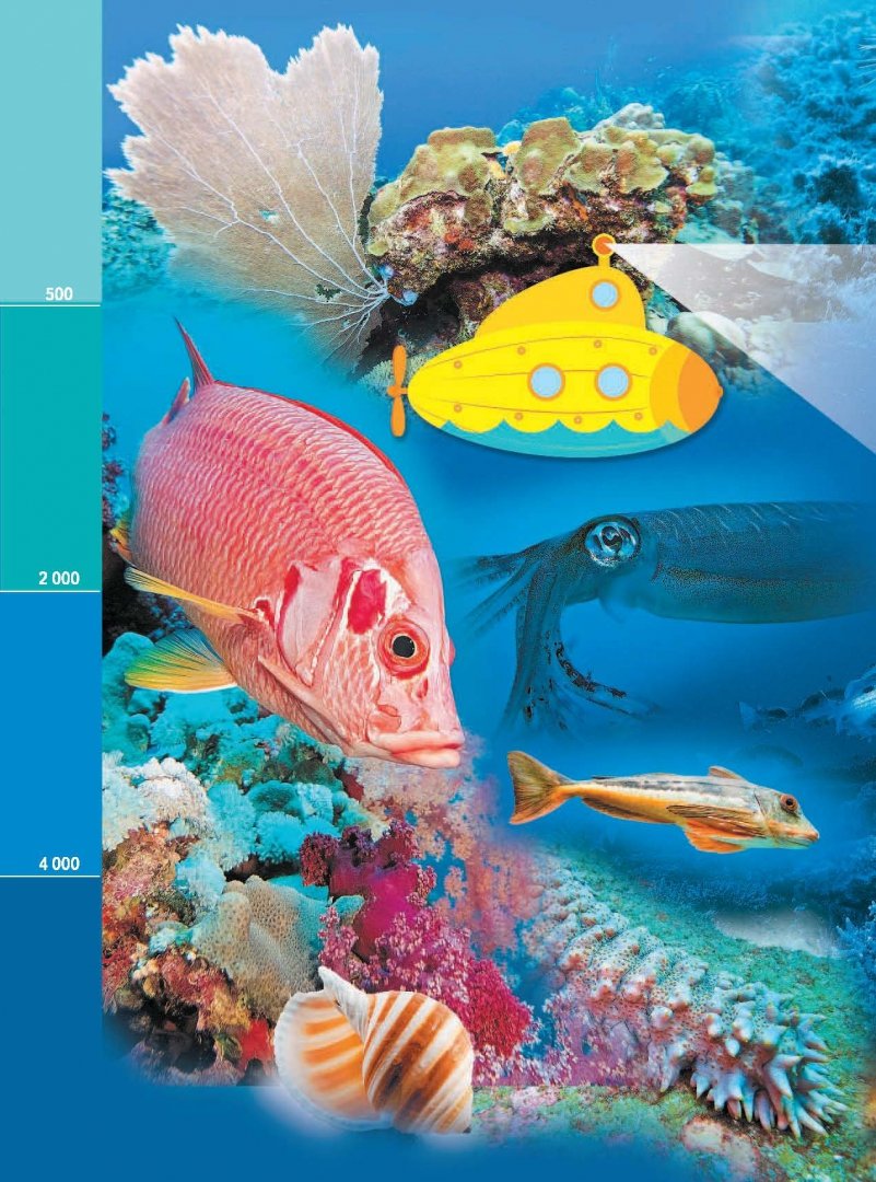 Иллюстрация 5 из 30 для Жизнь океана - Александр Тихонов | Лабиринт - книги. Источник: Лабиринт