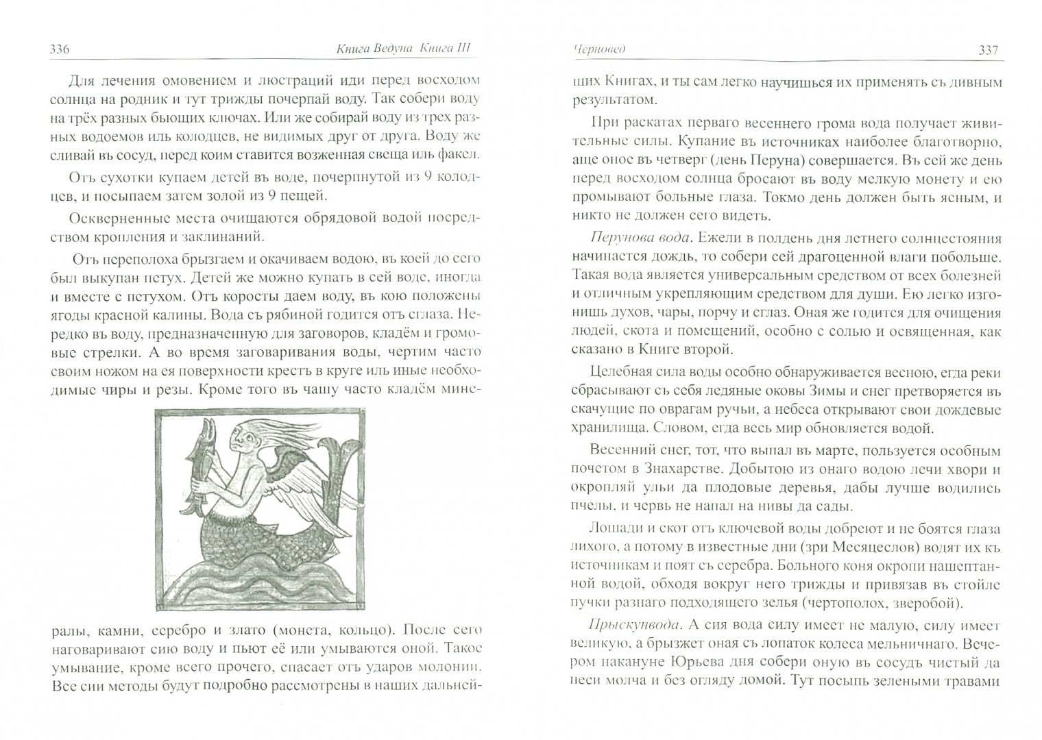 Иллюстрация 1 из 6 для Книга Ведуна. Книга 3 - Черновед | Лабиринт - книги. Источник: Лабиринт