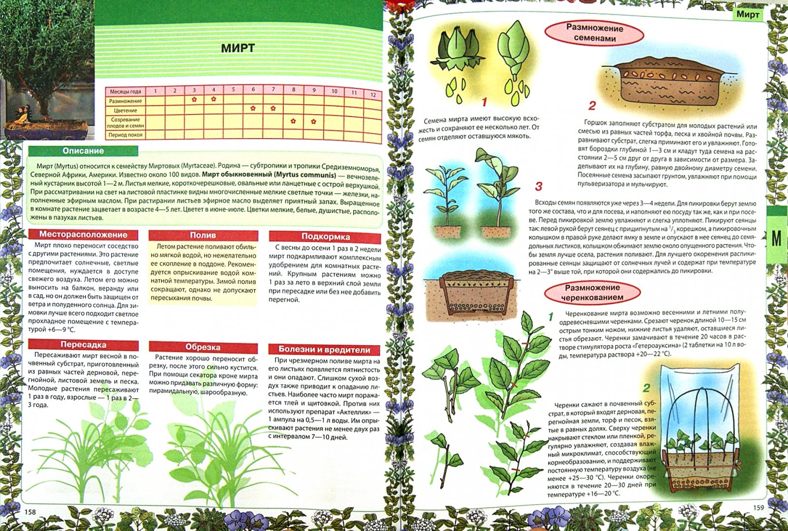 Иллюстрация 1 из 22 для Самая нужная книга о комнатных растениях - Лариса Конева | Лабиринт - книги. Источник: Лабиринт