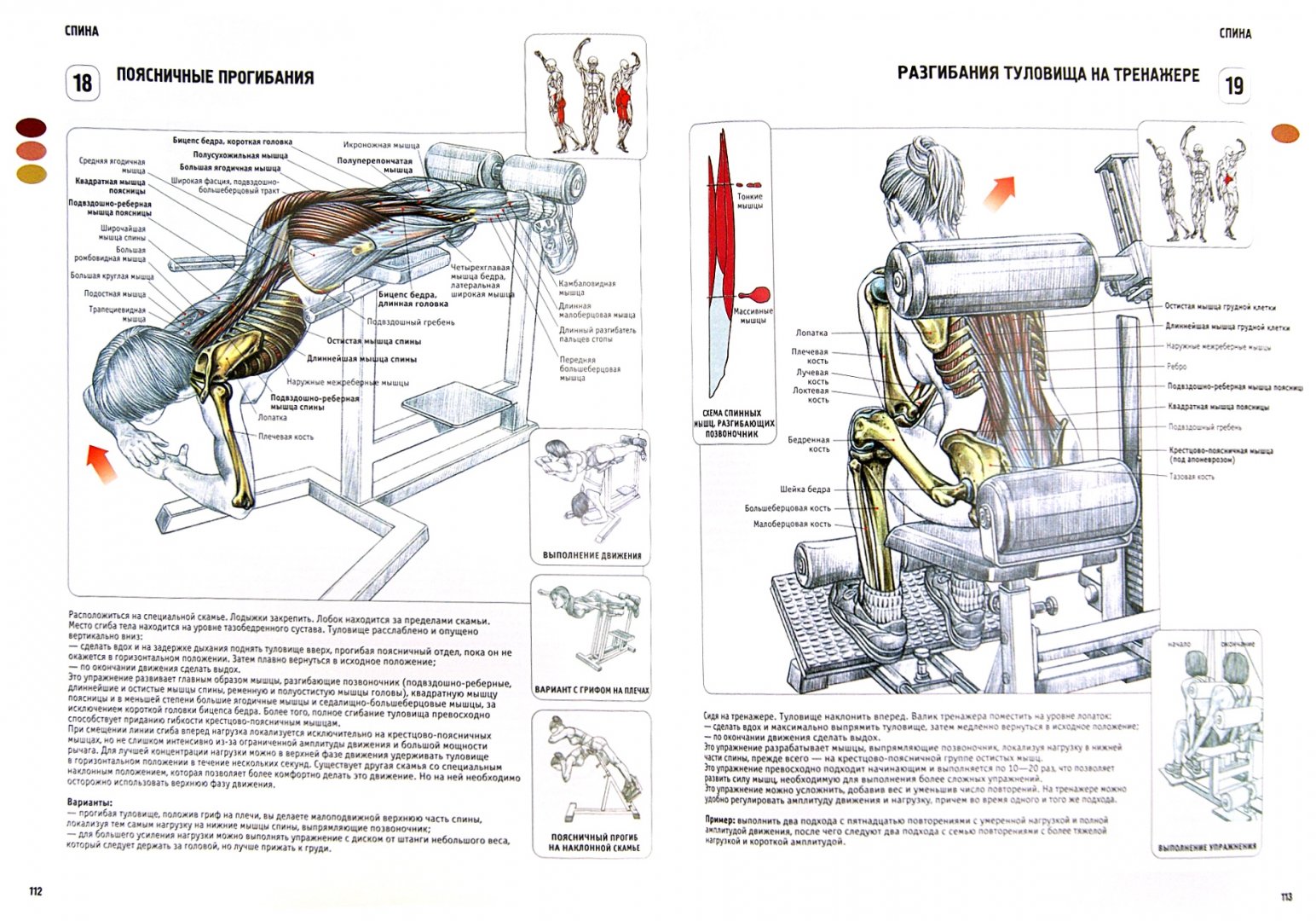 Иллюстрация 2 из 20 для Анатомия силовых упражнений для мужчин и женщин - Фредерик Делавье | Лабиринт - книги. Источник: Лабиринт