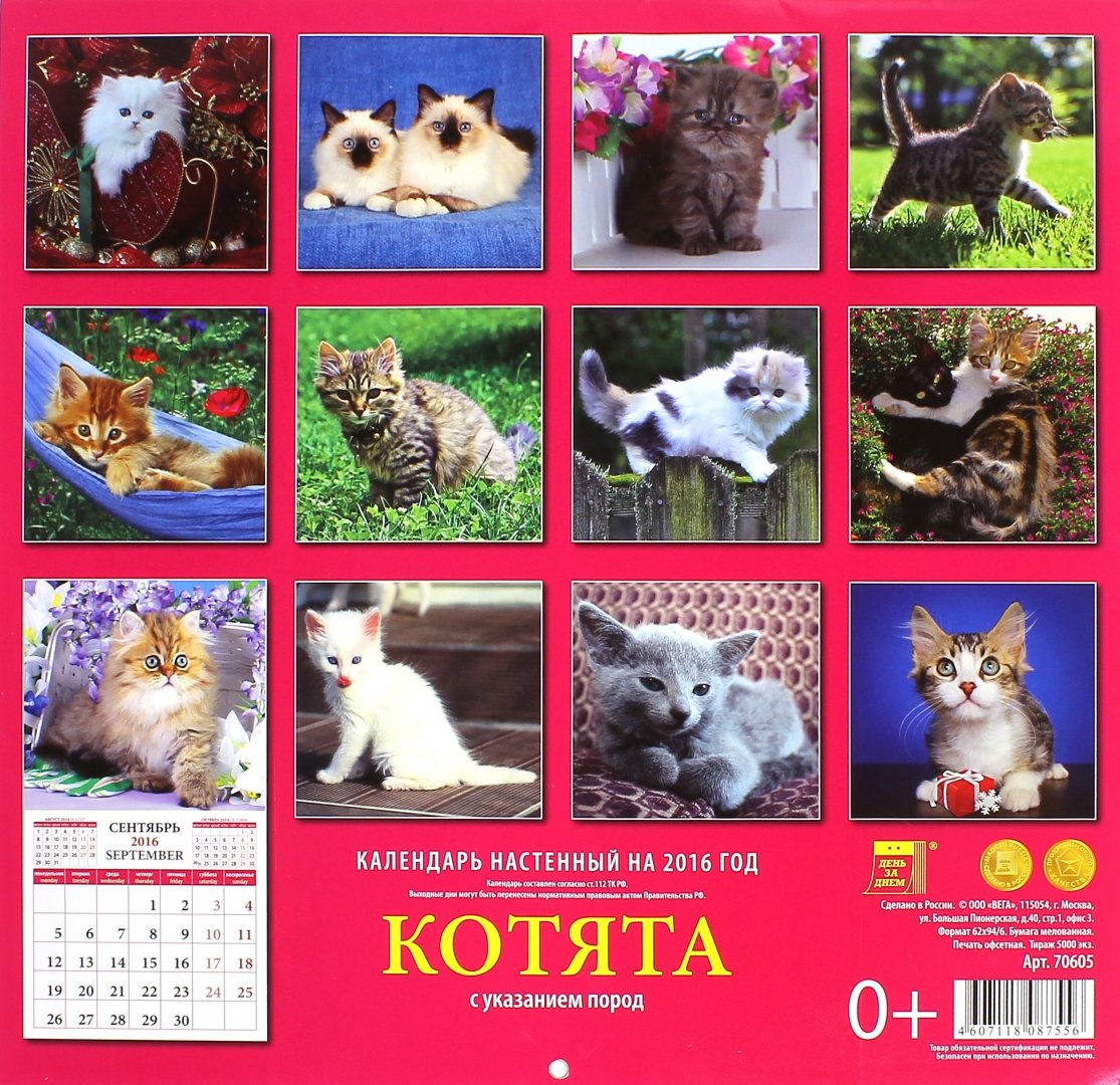 Иллюстрация 1 из 13 для Календарь настенный на 2016 год "Котята" (70605) | Лабиринт - сувениры. Источник: Лабиринт