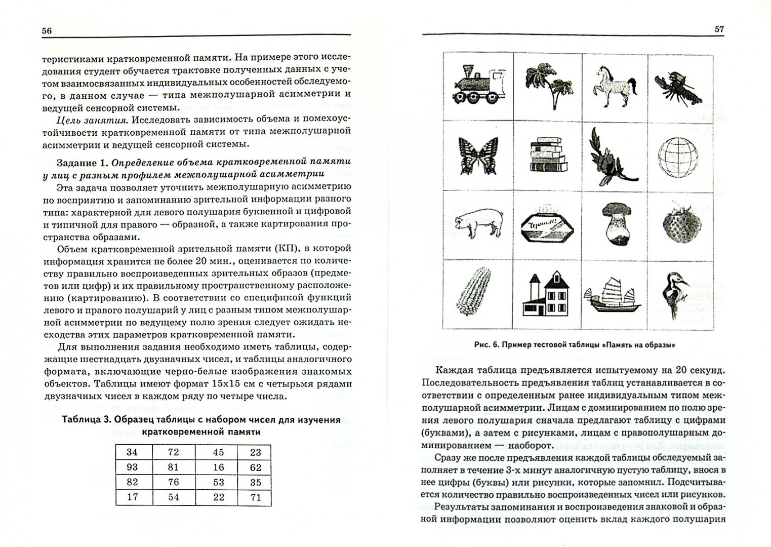 Иллюстрация 1 из 6 для Функциональная межполушарная асимметрия мозга человека и психические процессы - Реброва, Чернышева | Лабиринт - книги. Источник: Лабиринт