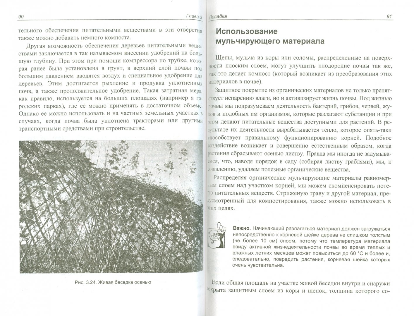Иллюстрация 1 из 11 для Строим из живых деревьев - Герман Блок | Лабиринт - книги. Источник: Лабиринт