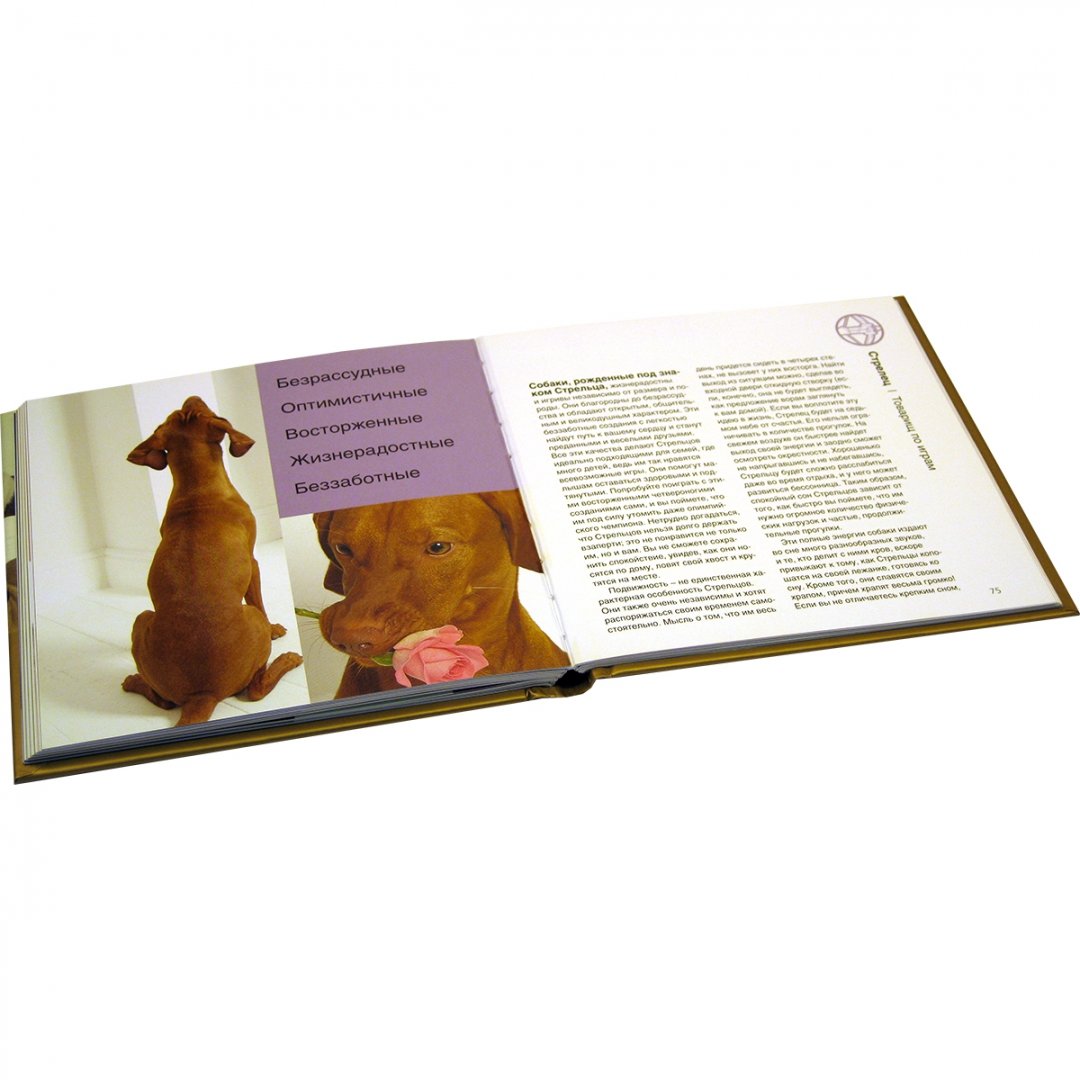 Иллюстрация 6 из 24 для Собачья мудрость. Комплект из 4-х книг - Уитфилд, Ортолия-Байрд, Тэйлор, Гринолл, Джейвор | Лабиринт - книги. Источник: Лабиринт