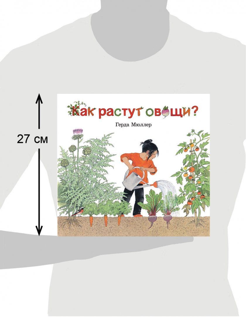 Иллюстрация 10 из 14 для Как растут овощи? (иллюстрации Герды Мюллер) - Герда Мюллер | Лабиринт - книги. Источник: Лабиринт