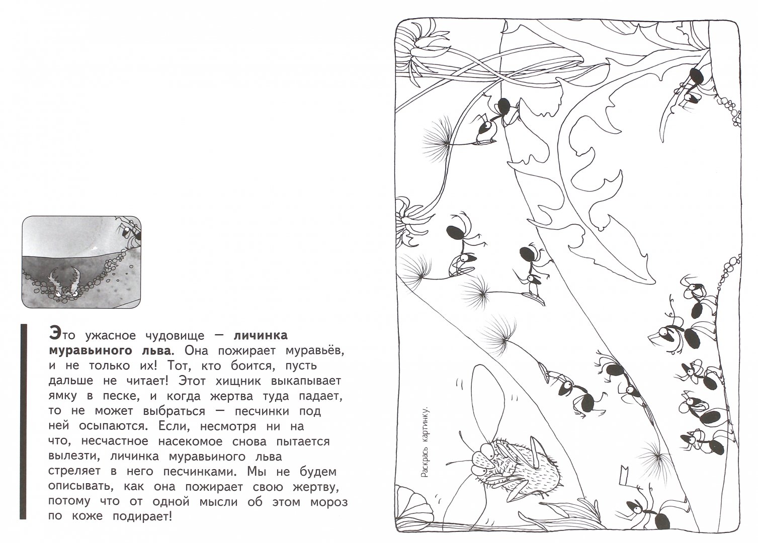 Иллюстрация 1 из 13 для Такие ловкие муравьи | Лабиринт - книги. Источник: Лабиринт