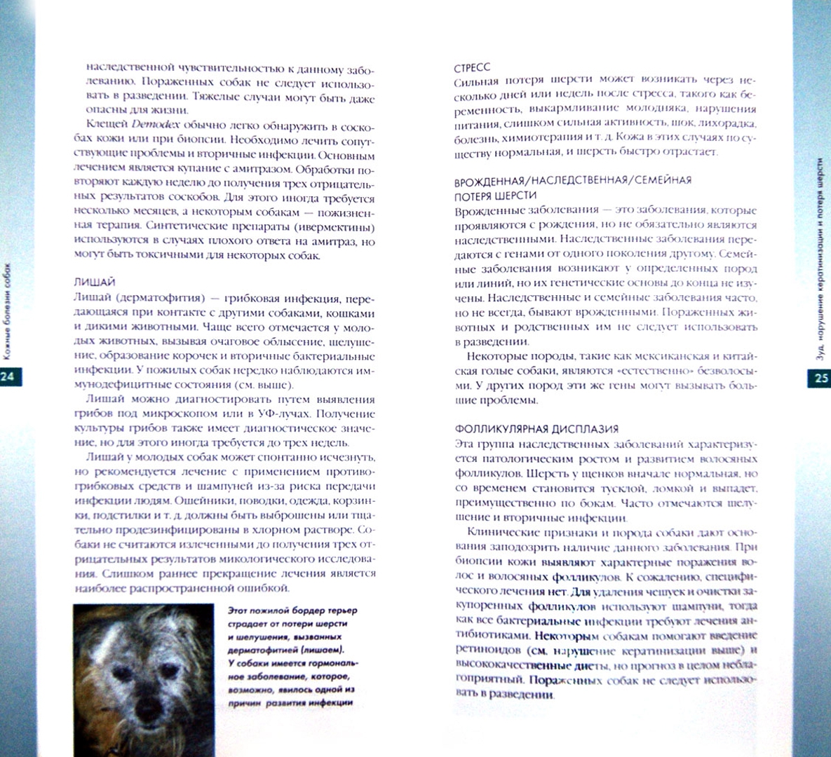 Иллюстрация 1 из 5 для Кожные болезни собак - Тим Наттол | Лабиринт - книги. Источник: Лабиринт
