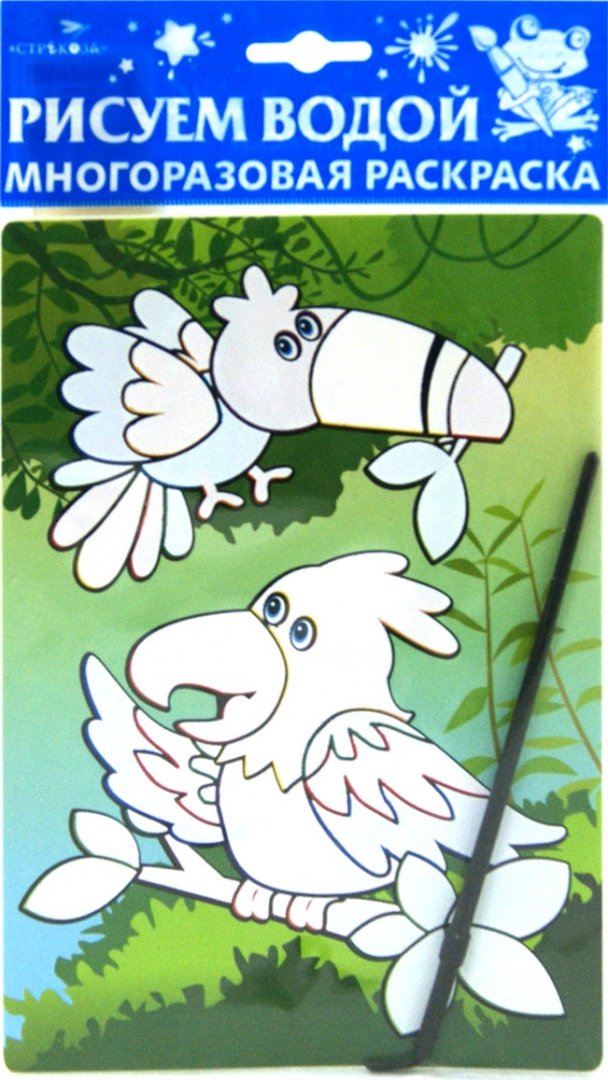 Иллюстрация 1 из 4 для Водная раскраска на картоне "Попугаи. Дельфин" | Лабиринт - книги. Источник: Лабиринт