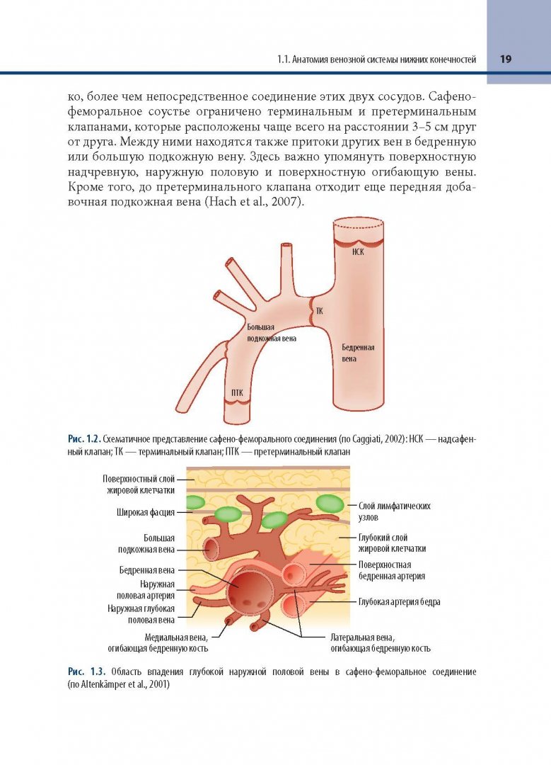 Иллюстрация 5 из 12 для Минимально инвазивное лечение варикозного расширения вен - Алм, Брой, Мауринс | Лабиринт - книги. Источник: Лабиринт