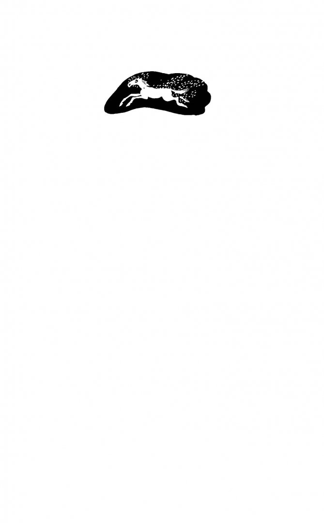 Иллюстрация 1 из 55 для Земленыр, или Каскад приключений - Геннадий Михасенко | Лабиринт - книги. Источник: Лабиринт