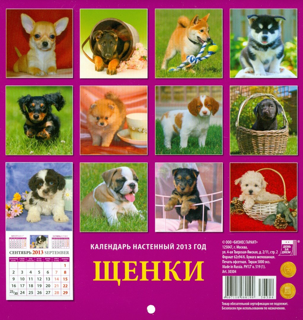 Иллюстрация 2 из 2 для Календарь 2013 "Щенки" (30304) | Лабиринт - сувениры. Источник: Лабиринт