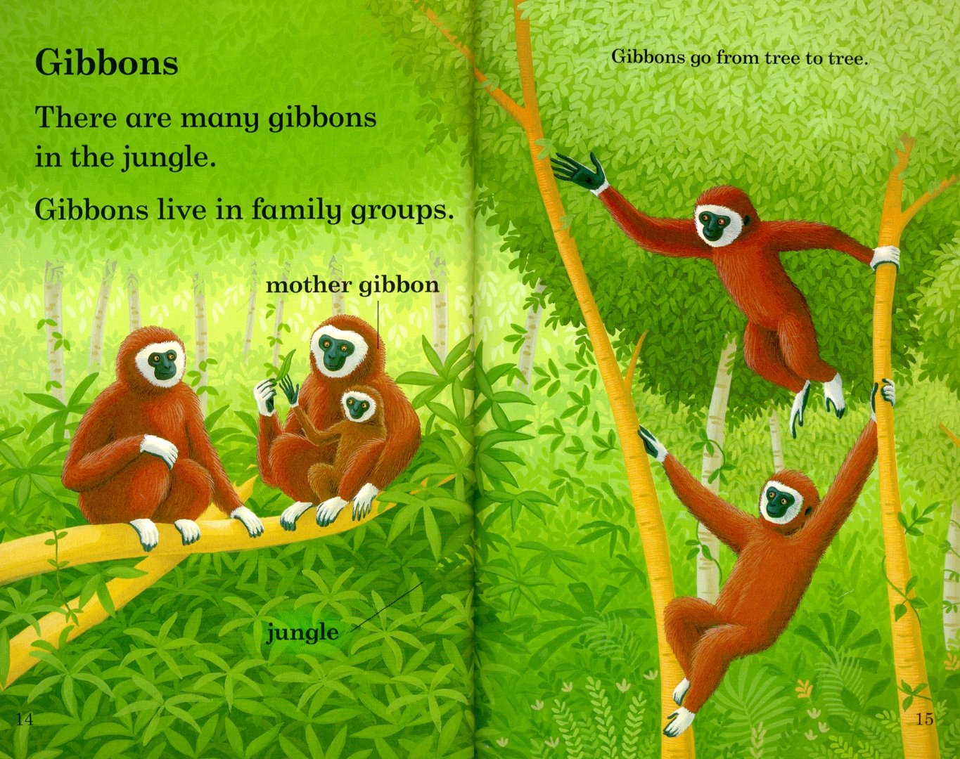 Иллюстрация 2 из 2 для Wild Animals (PB) + downloadable audio - Sorrel Pitts | Лабиринт - книги. Источник: Лабиринт