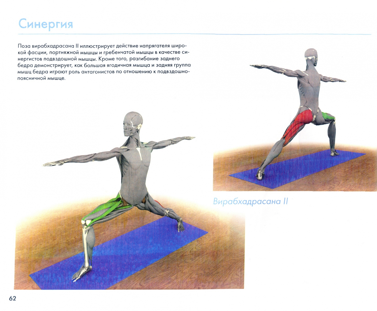 Иллюстрация 1 из 23 для Ключевые мышцы йоги - Рэй Лонг | Лабиринт - книги. Источник: Лабиринт