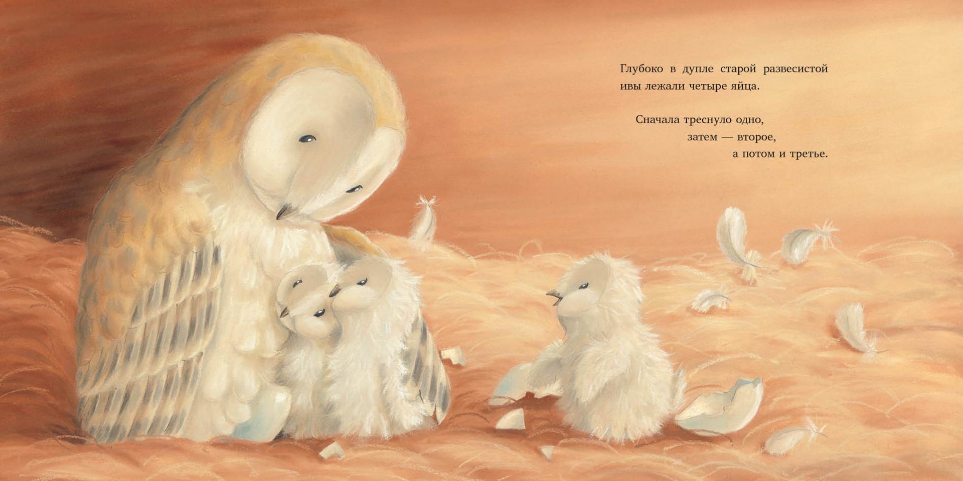Иллюстрация 1 из 39 для Самый маленький совёнок - Кэролайн Питчер | Лабиринт - книги. Источник: Лабиринт