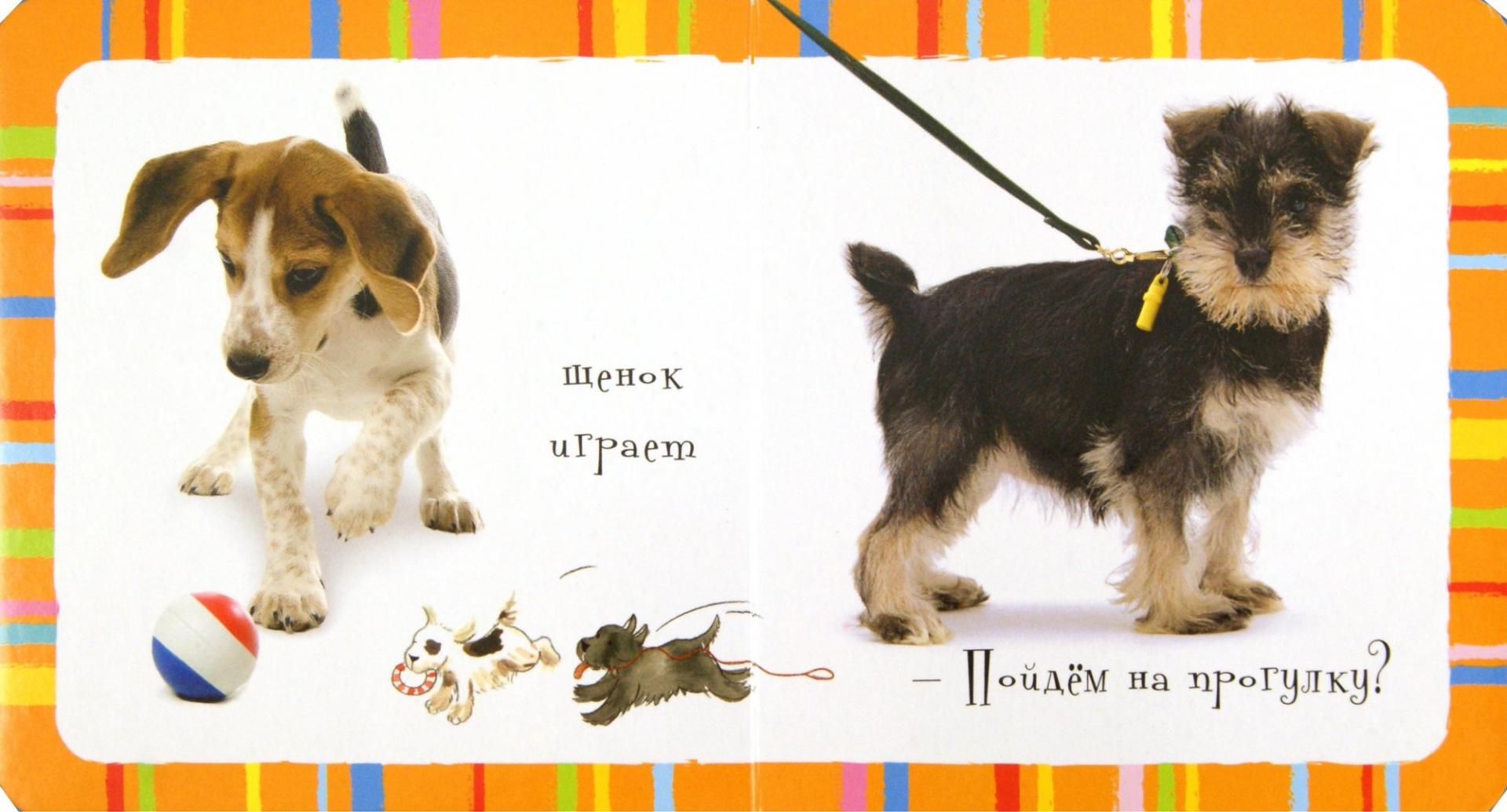 Иллюстрация 1 из 2 для Маленькая книжечка про щенков | Лабиринт - книги. Источник: Лабиринт