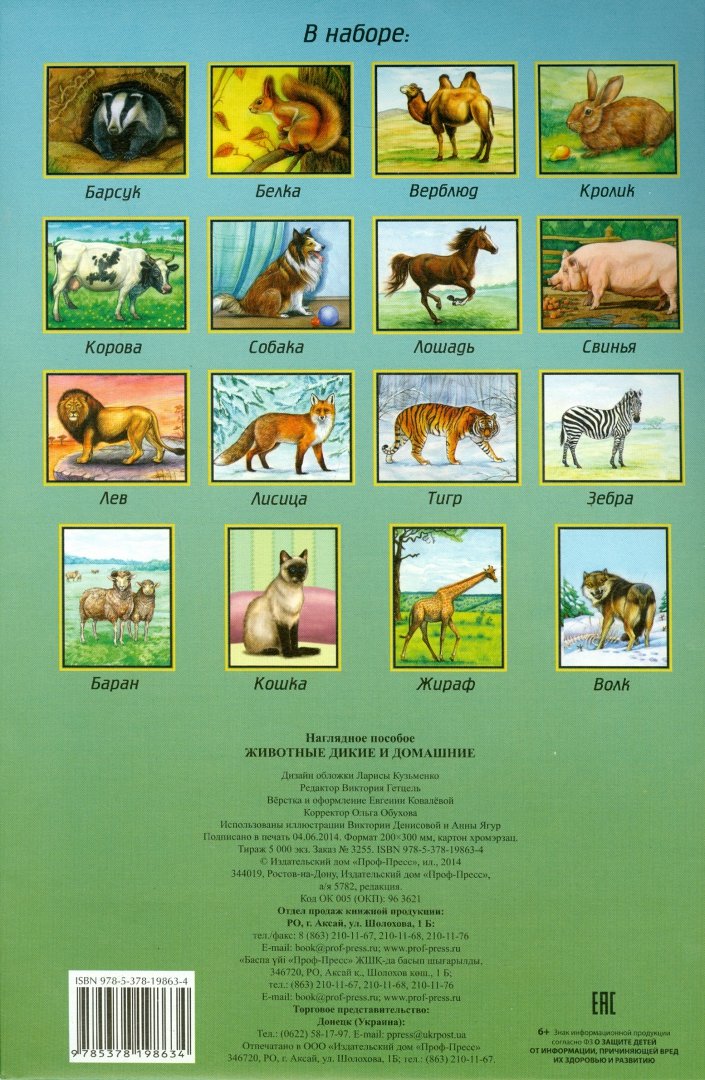 Иллюстрация 1 из 7 для Наглядное пособие А4. Животные дикие и домашние | Лабиринт - книги. Источник: Лабиринт