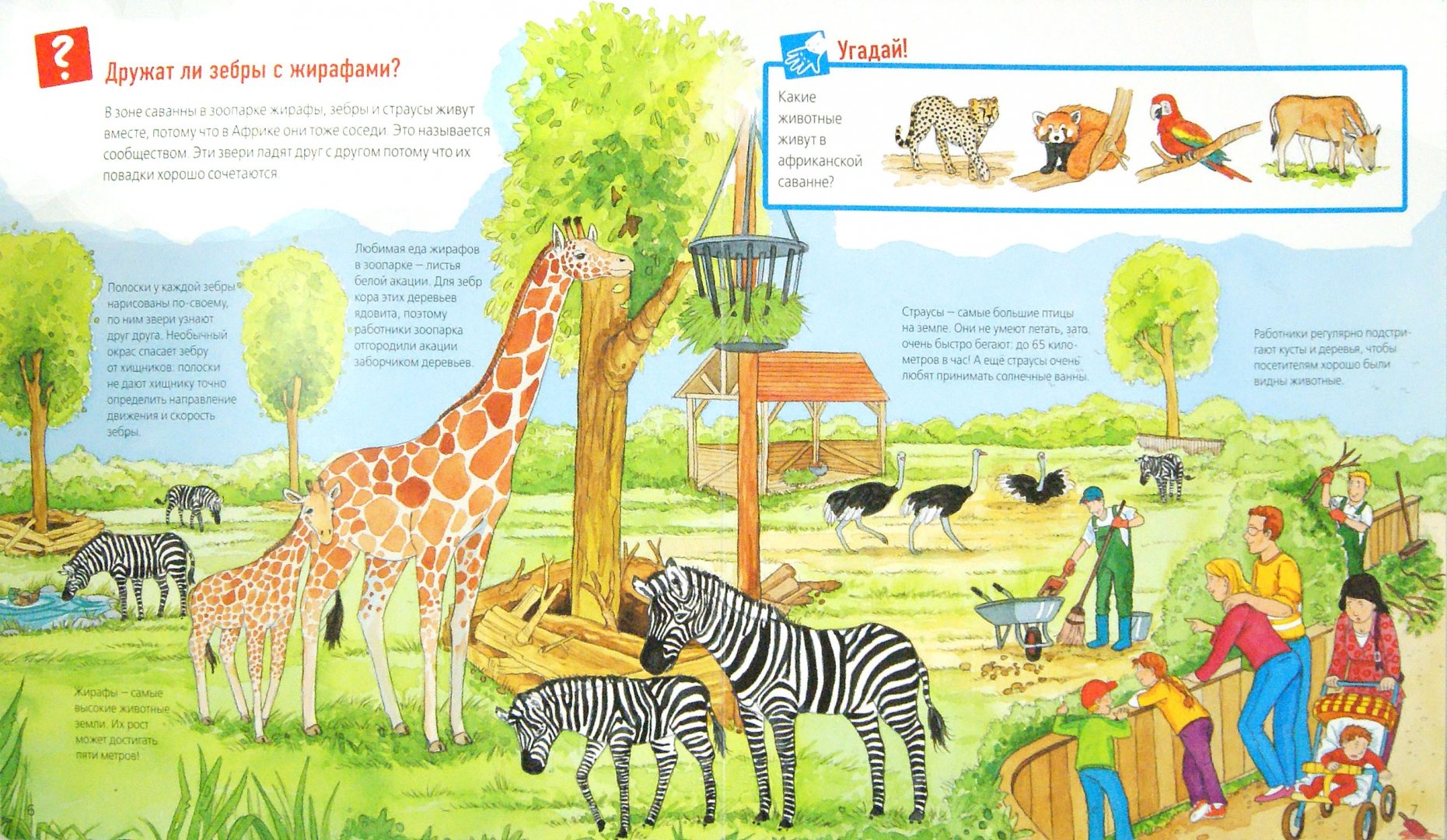 Иллюстрация 1 из 40 для Животные в зоопарке - Забине Шук | Лабиринт - книги. Источник: Лабиринт