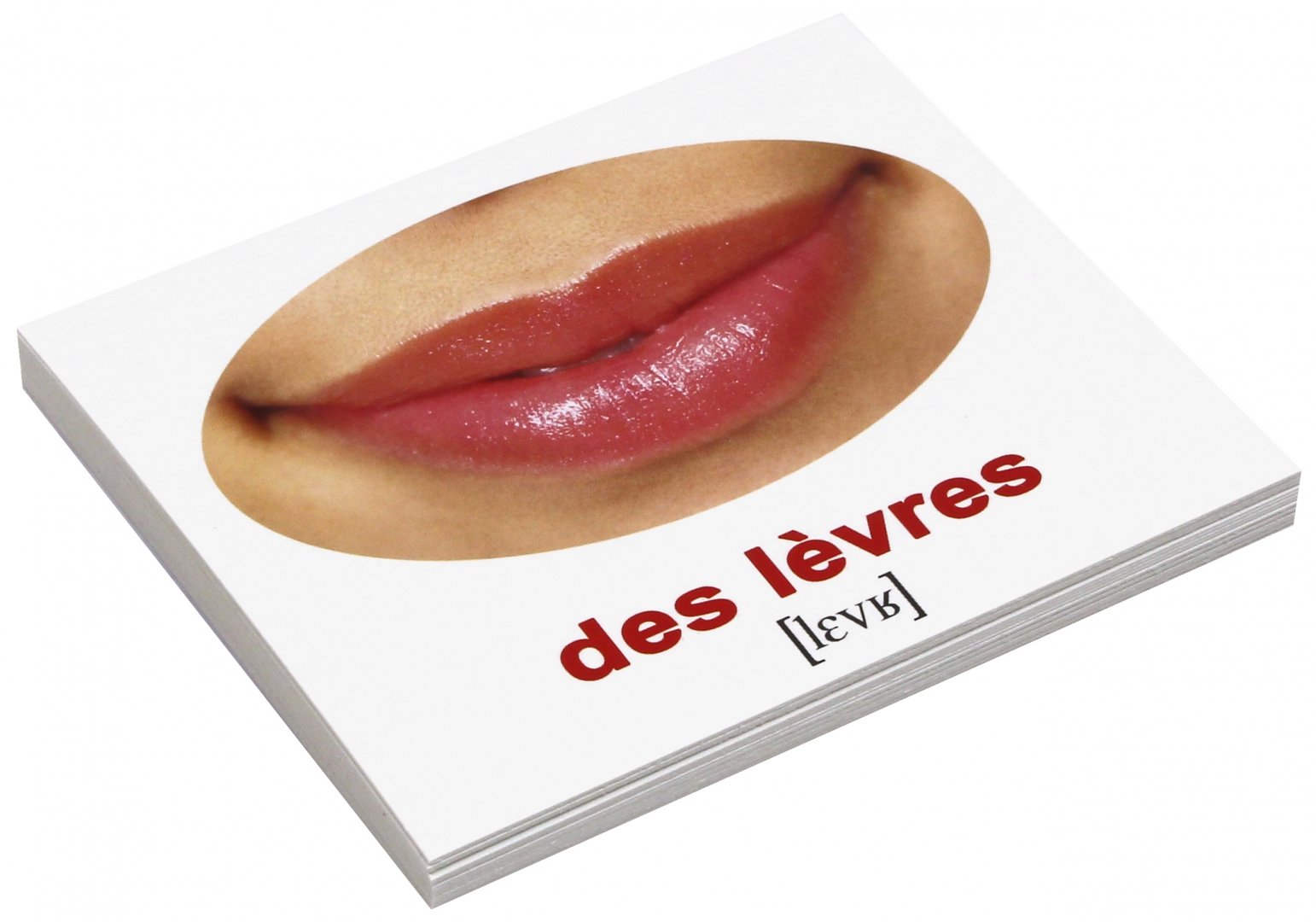Иллюстрация 1 из 2 для Комплект карточек Мини-20  "Les corps. Наше тело" (французский язык) - Носова, Епанова | Лабиринт - книги. Источник: Лабиринт