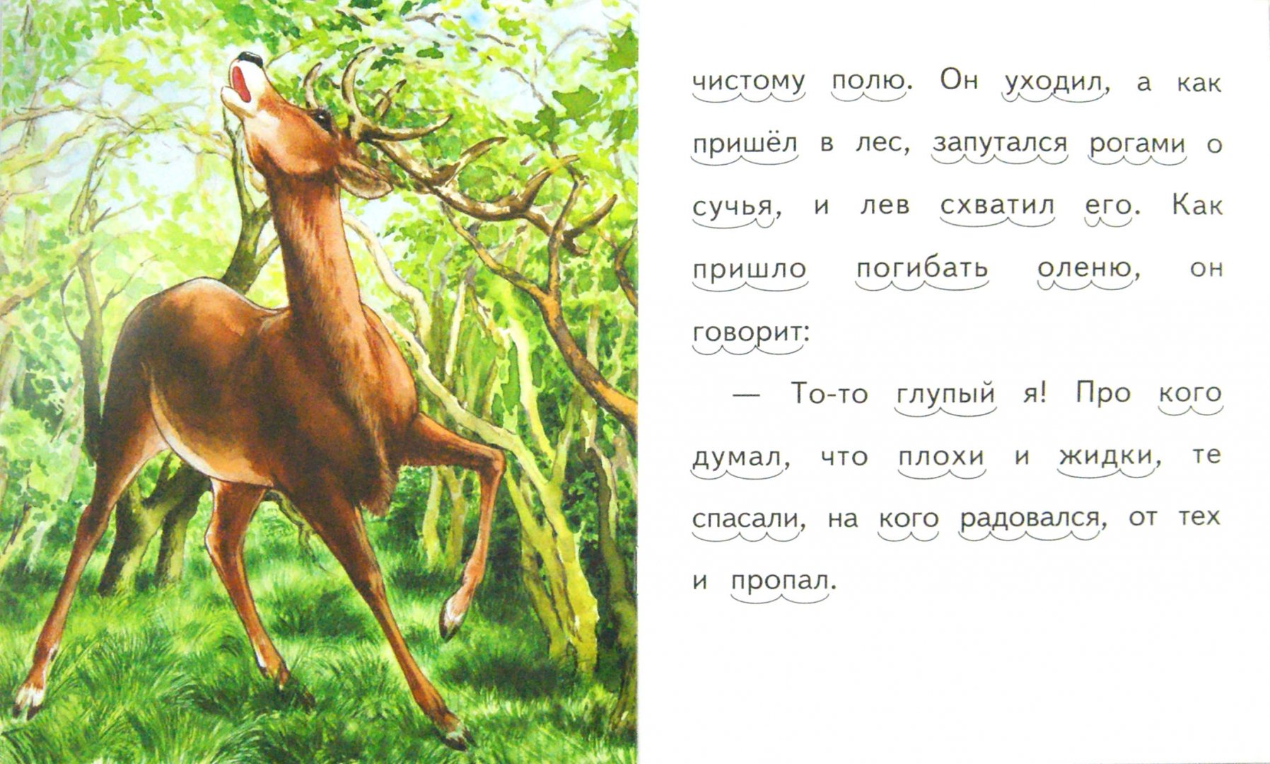 Иллюстрация 1 из 28 для Умная галка - Лев Толстой | Лабиринт - книги. Источник: Лабиринт