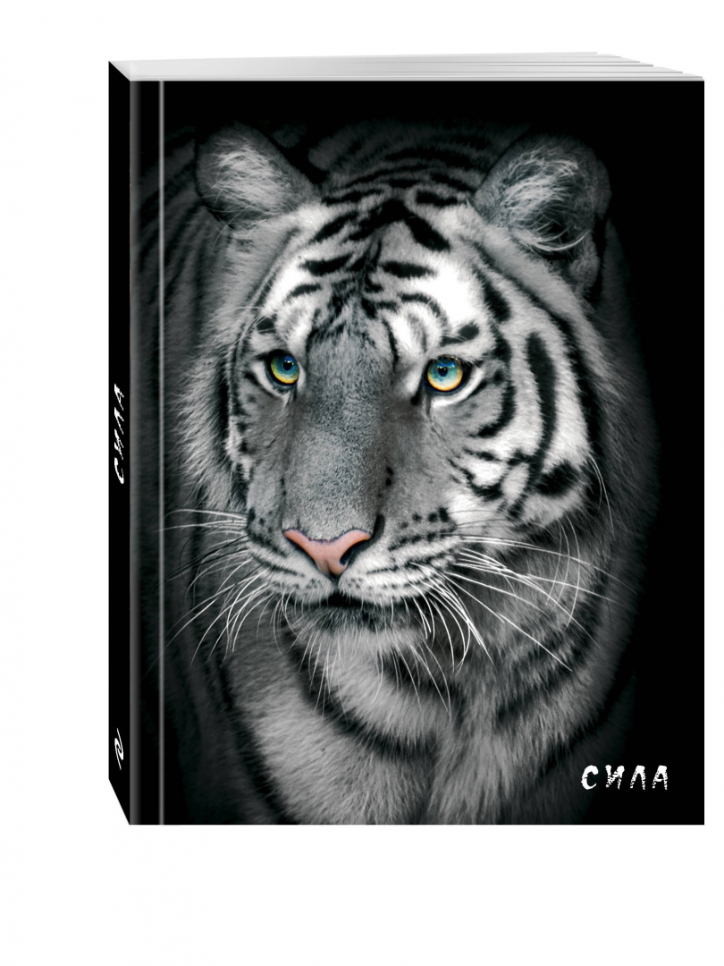 Иллюстрация 1 из 4 для Блокнот настоящего хищника "Белый тигр", А5+ | Лабиринт - канцтовы. Источник: Лабиринт
