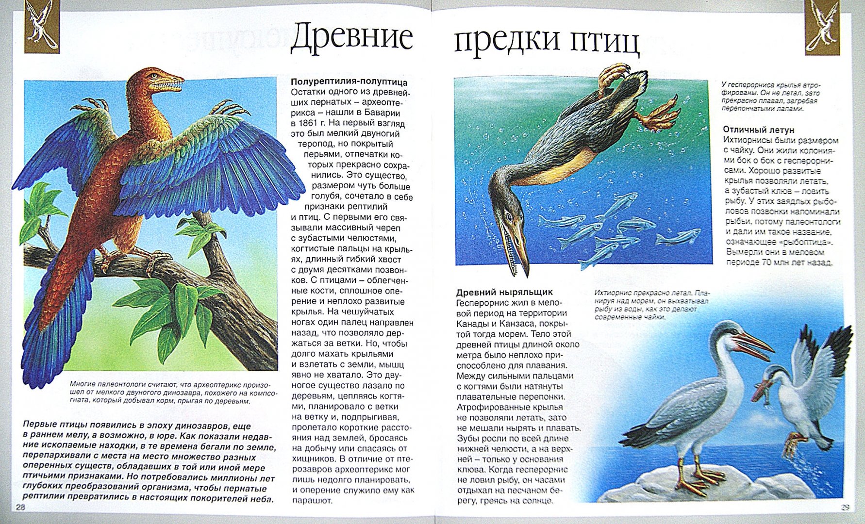 Иллюстрация 2 из 36 для Динозавры - Лора Камбурнак | Лабиринт - книги. Источник: Лабиринт