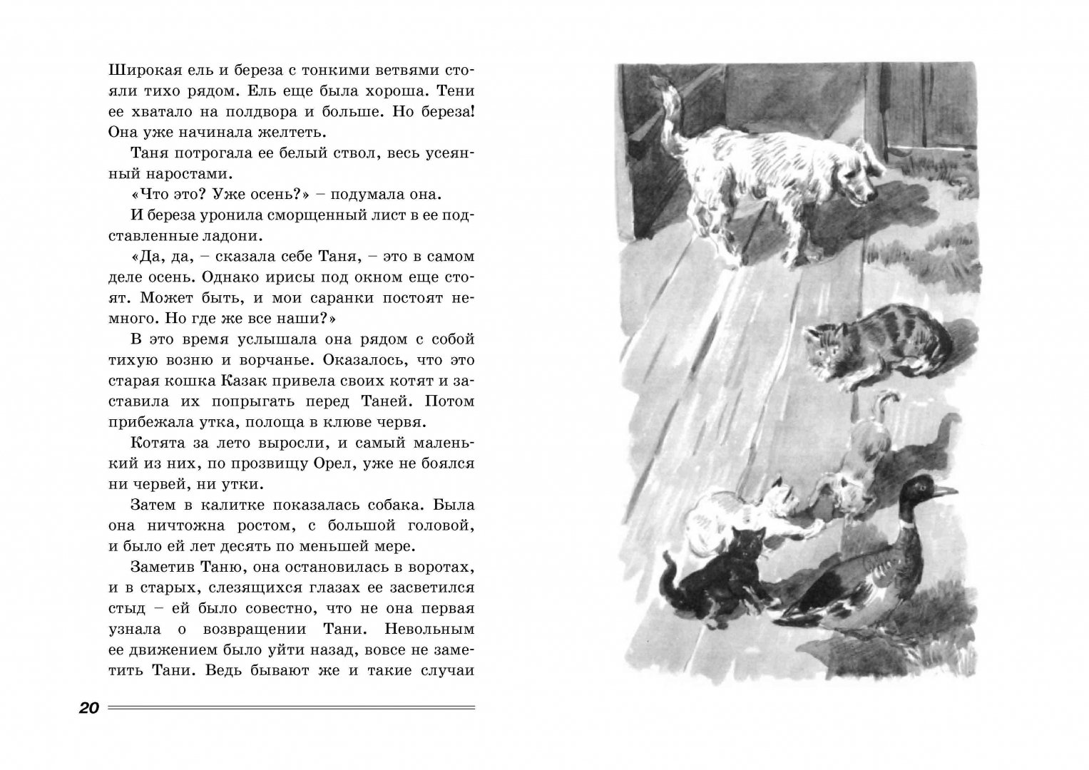 6 глава дикая собака динго. Дикая собака Динго, или повесть о первой любви Рувим Фраерман книга. Киплинг собака Динго. Рувим Фраерман Дикая собака Динго. Дикая собака Динго иллюстрации.