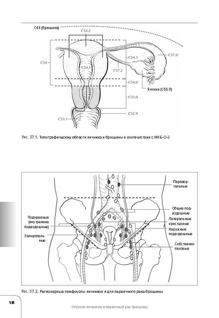 Иллюстрация 6 из 27 для Атлас по классификации стадий злокачественных опухолей | Лабиринт - книги. Источник: Лабиринт