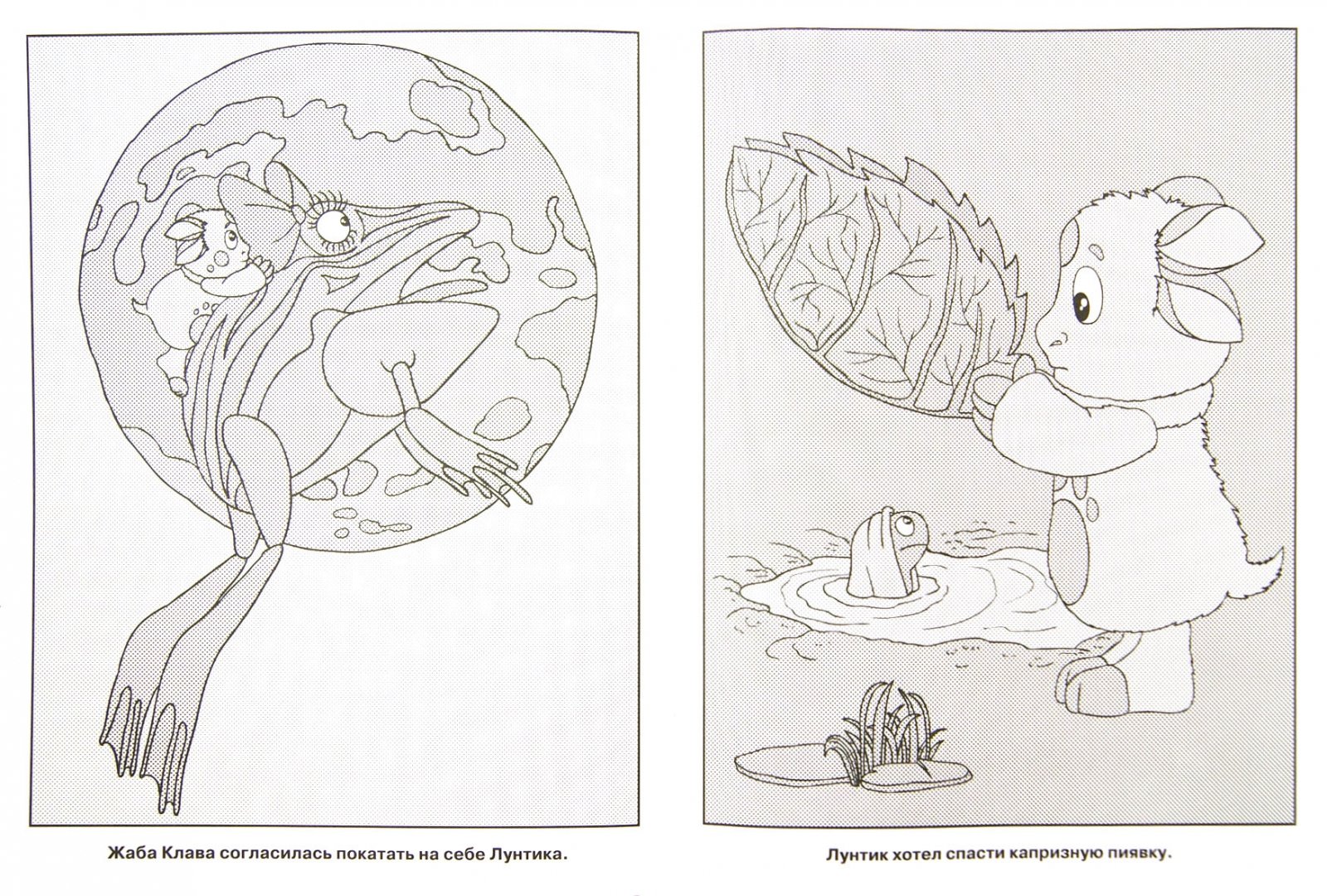 Иллюстрация 1 из 2 для Водная раскраска "Лунтик и его друзья" (№ 1220) | Лабиринт - книги. Источник: Лабиринт
