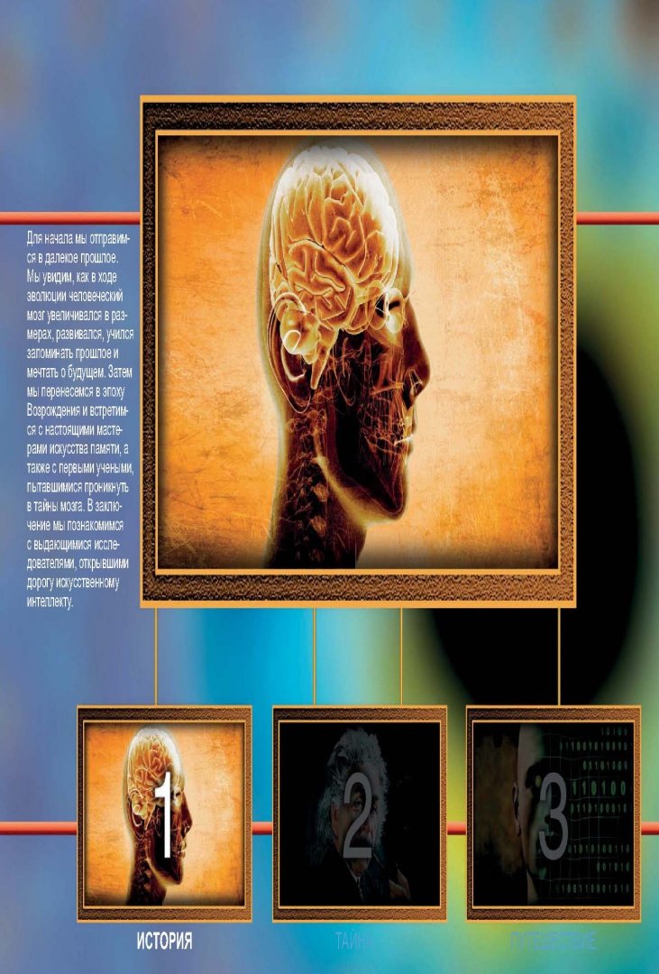 Иллюстрация 3 из 42 для Мозг и тайны мышления - Чианни Ди | Лабиринт - книги. Источник: Лабиринт